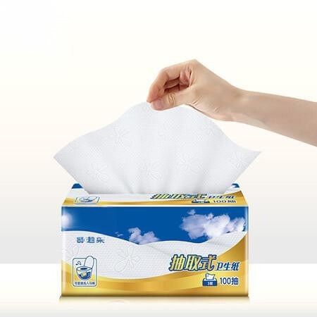 Disposable Toilet Paper